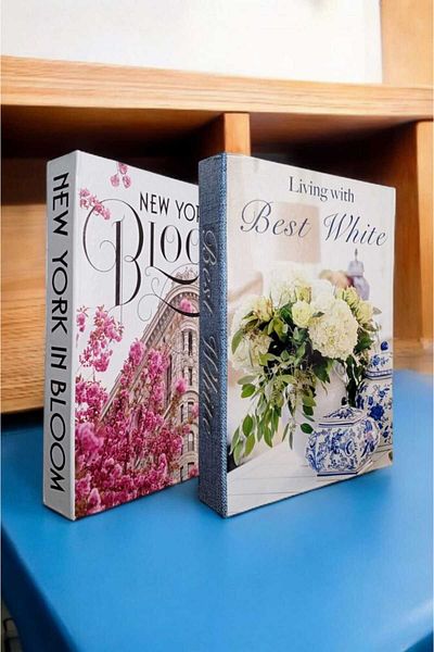 BayCazip Decorative Book Look Box Set of 2 Decorative Book Looking Box