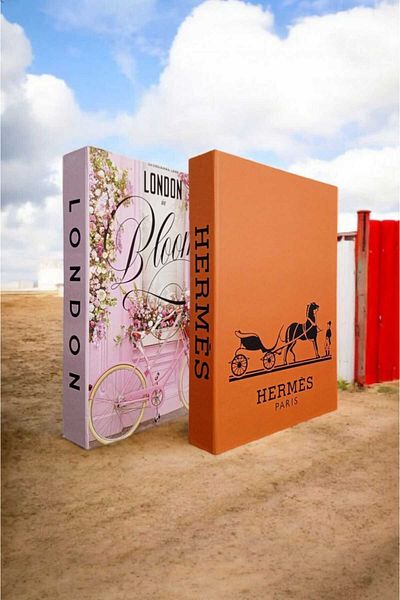 BayCazip Decorative Book Look Box Set of 2 Decorative Book Looking Box