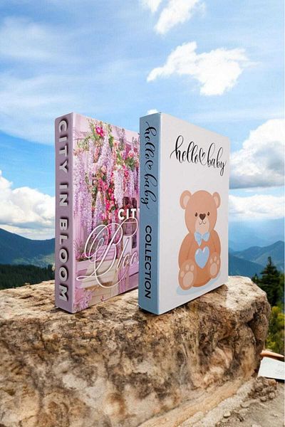 BayCazip Decorative Book Look Box Set of 2 Decorative Book Looking Box