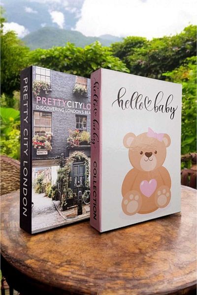 BayCazip Decorative Book Look Box Set of 2 Decorative Book Looking Box
