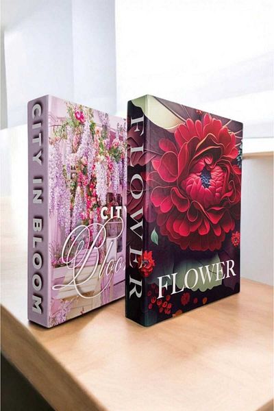 BayCazip Decorative Book Look Box Set of 2 Decorative Book Looking Box