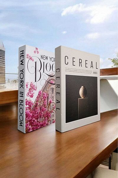 BayCazip Decorative Book Look Box Set of 2 Decorative Book Looking Box