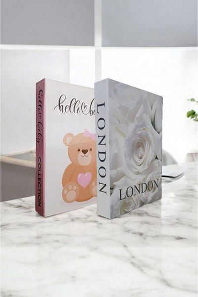 BayCazip Decorative Book Look Box Set of 2 Decorative Book Looking Box