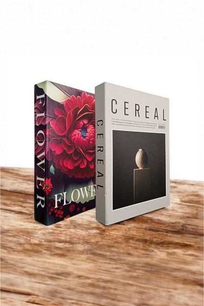BayCazip Decorative Book Look Box Set of 2 Decorative Book Looking Box