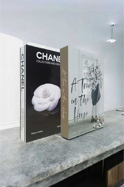 BayCazip Decorative Book Look Box Set of 2 Decorative Book Looking Box