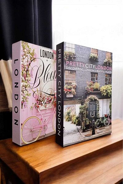 BayCazip Decorative Book Look Box Set of 2 Decorative Book Looking Box