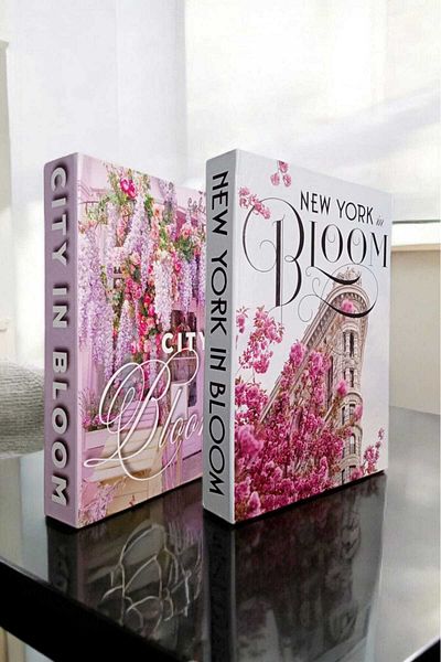 BayCazip Decorative Book Look Box Set of 2 Decorative Book Looking Box