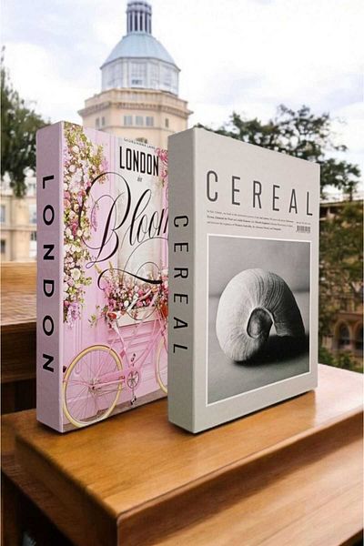 BayCazip Decorative Book Look Box Set of 2 Decorative Book Looking Box