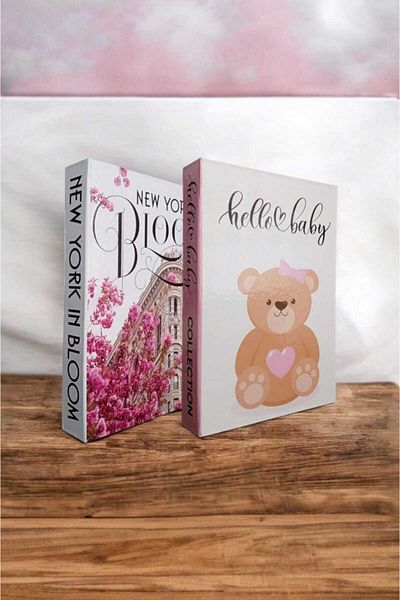 BayCazip Decorative Book Look Box Set of 2 Decorative Book Looking Box