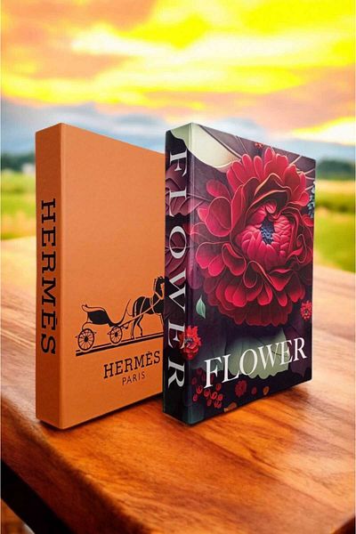 BayCazip Decorative Book Look Box Set of 2 Decorative Book Looking Box
