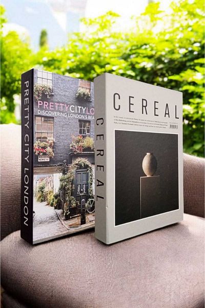 BayCazip Decorative Book Look Box Set of 2 Decorative Book Looking Box