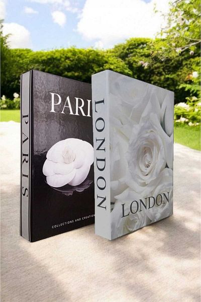 BayCazip Decorative Book Look Box Set of 2 Decorative Book Looking Box