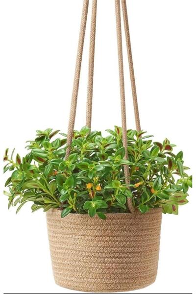 FABRİCART HALI saksı 22x15