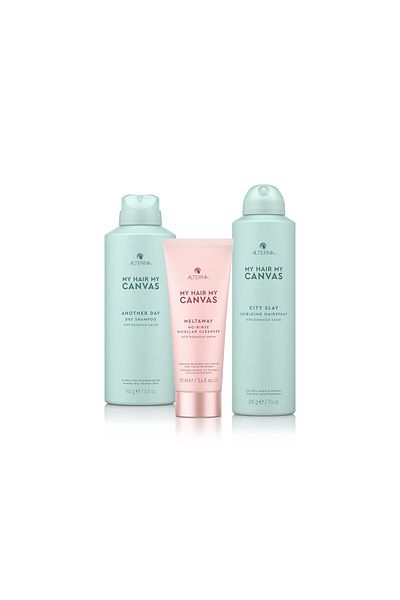 ALTERNA My Hair. My Canvas. Another Day Dry Shampoo, 5 Ounce