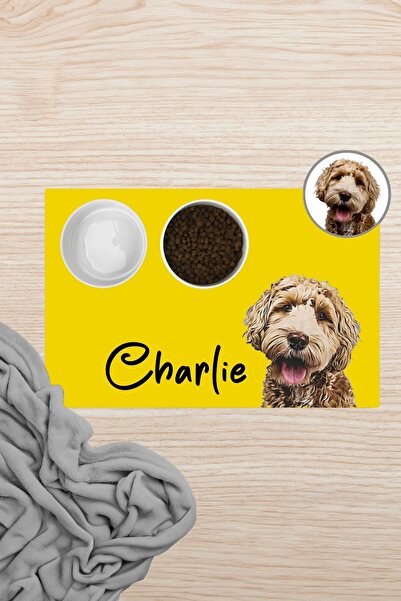 MatGo Pati Mama Kabı Altlığı Beslenme Matı 50x70cm Kedi Köpek Paspası Hayvana...