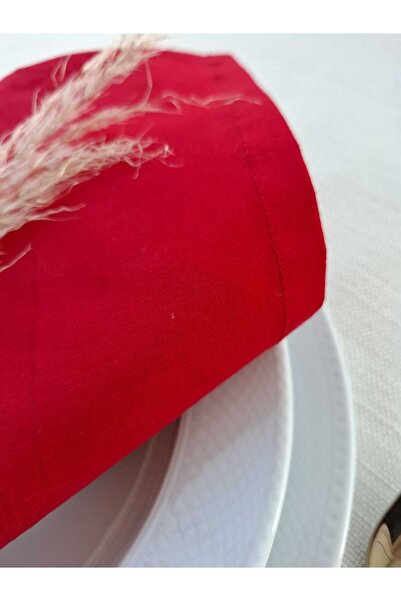 ALASEREN 6 Pack Fabric Napkin 40*40 cm 100% Cotton