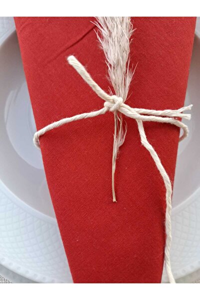 ALASEREN 6 Pack Fabric Napkin 40*40 cm 100% Cotton