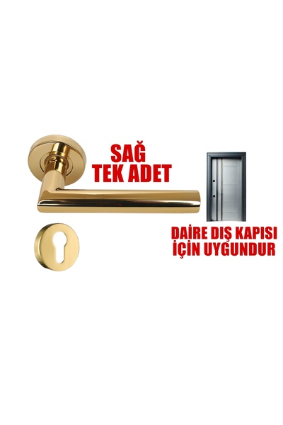 Store VEGA GOLD YALE TİPİ PASLANMAZ KAPI KOLU
