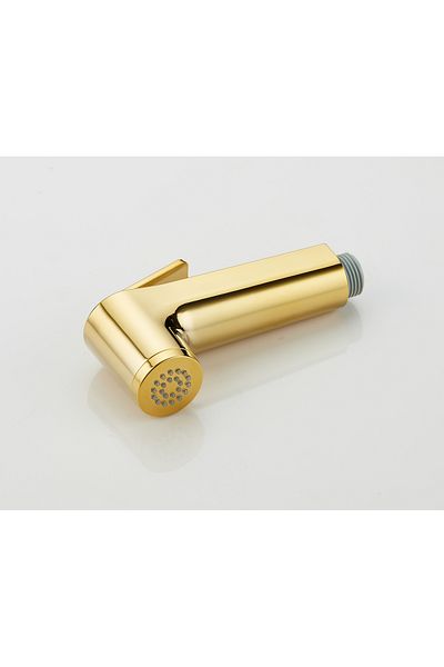 HESANIT Logic Shattaf Sprayer with Pipe and Wall Bracket - Gold