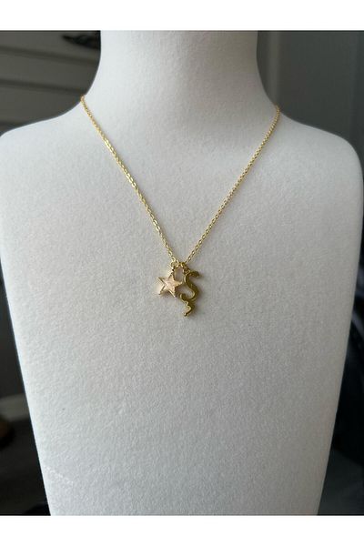 Store Letter S Necklace - with Star Charm and Chain