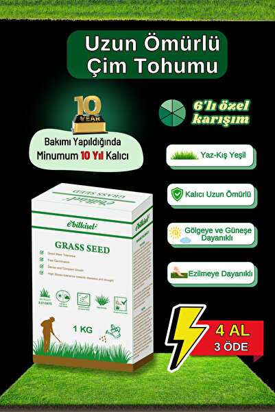 ebitkisel Çok Yıllık Çim Tohumu 1 Kg Uzun Ömürlü 6'lı Karışım Gölge ve Aşırı Güneşli Alan Uygun 4 Mevsim Yeşil
