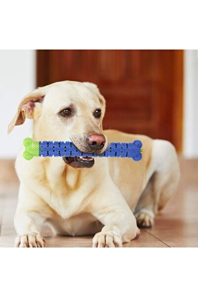 BE ACTİVE Toothbrush Stick Pet Molar Stick Dog Tooth Cleaning Stick Silicone ...