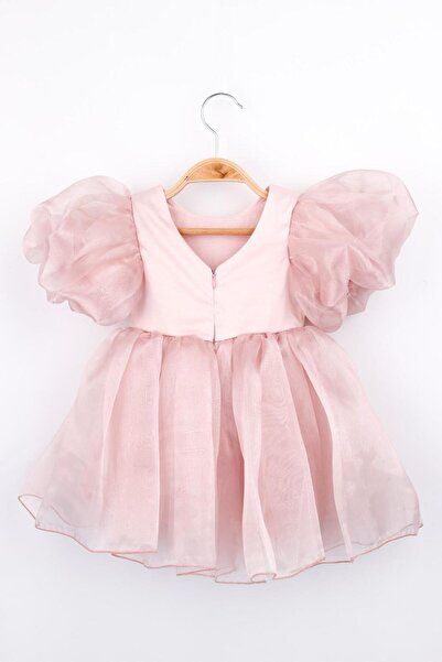 Le Mabelle Powder Crown Organza Girl's Party Dress - Carlene