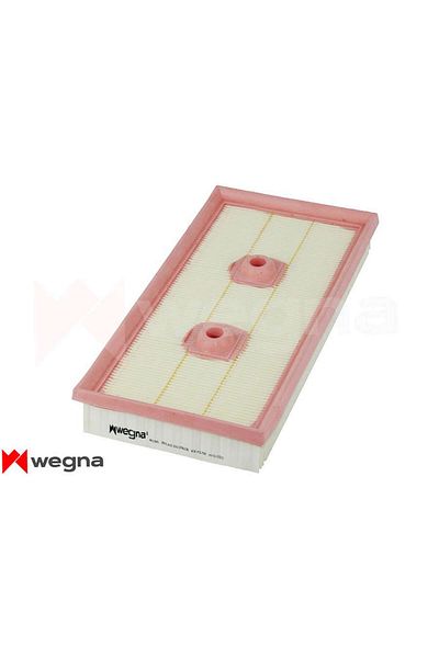 Wegmann Air Filter Golf V 06-08 -Jetta Iii 05-10 -Passat 05- -Touran 03-07 -Octavia 04-08 1.6Fsi C Gnzrz