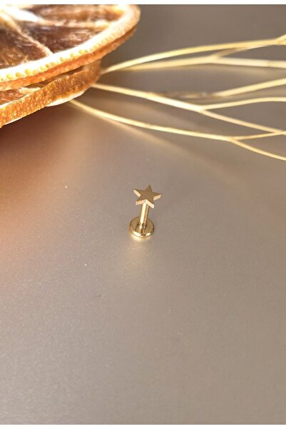Bylin %100 Cerrahi Çelik Yıldız Labret Pıercıng -kulak&dudak Için 1 Adet
