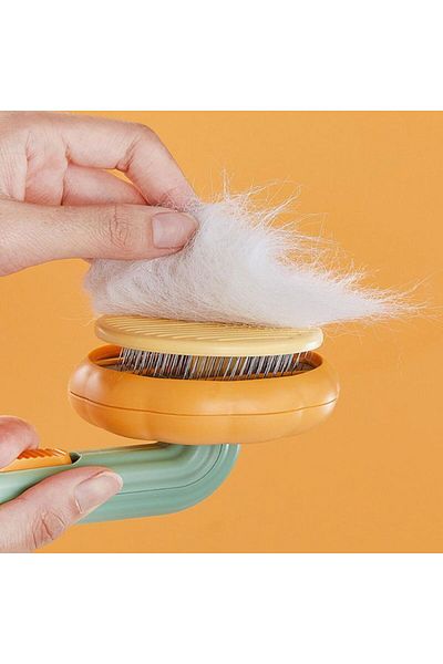 AC BOX Pumpkin Design Pet Comb