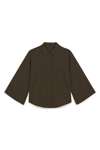 praye Wide Sleeve Brown Basic Shirt