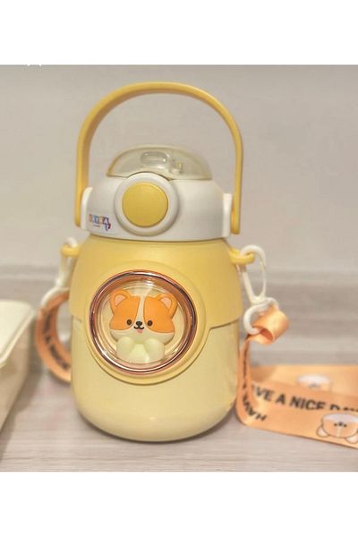 Kayra Stone 700ml 316 Removable Terrace Portable Water Protector / Flask / Thermos Yellow