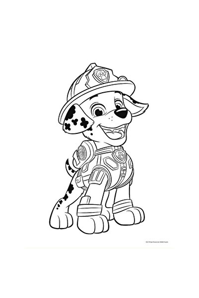 Trefl Puzzle Primo Baby Maxi 2x10 Patrula Catelusilor Echipa