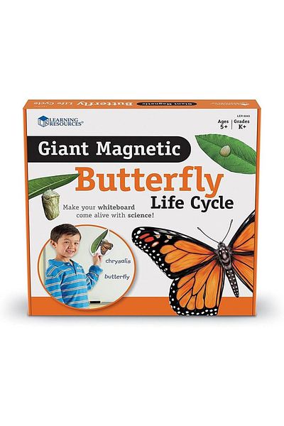 Learning Resources Ciclul de viață al unui fluture magnetic gigant - ler6043