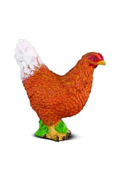 Collecta Κότα (Ν)