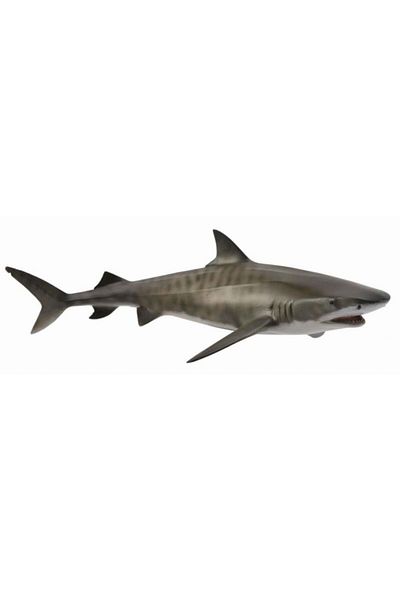 Collecta Καρχαρίας Τίγρης