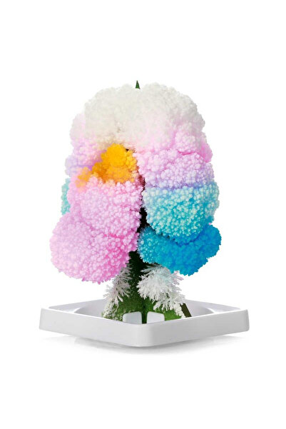 TOBAR Комплект за експерименти - Вълшебно дърво