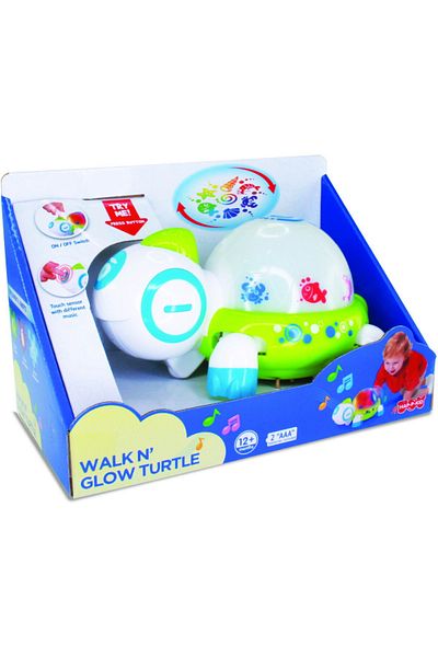 Little Learner Interactive Toy - Turtle