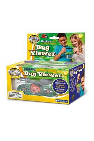 Brainstorm Observatorul Pentru Insecte