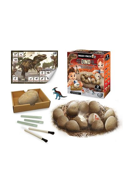 Buki France Dino Eggs Mega Set 12 Fossil Eggs