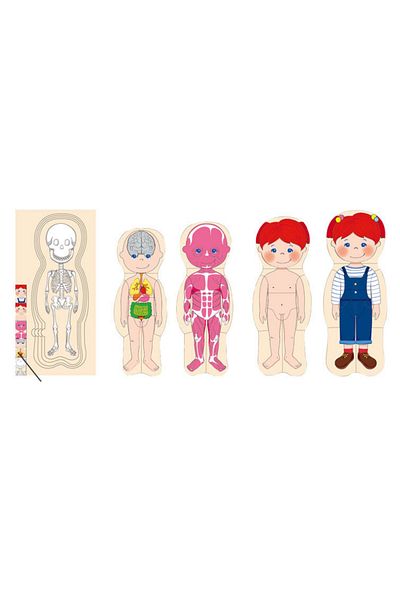 Micostore Puzzle din lemn, în straturi, anatomia corpului uman - față, joc educativ