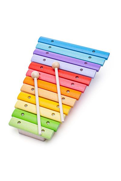 BIGJIGS Toys Xilofon Din Lemn