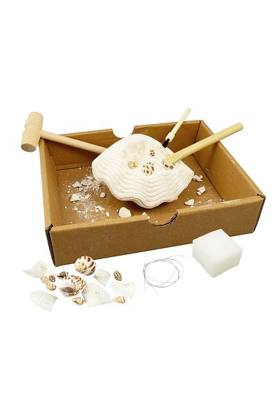 Buki France Digging Kit - Discovering and Learning About Shells