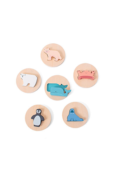 BS Toys Shape Matching Puzzle, Polar Animals