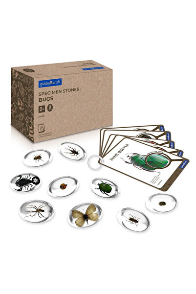 Guidecraft Specimen Stones, Pietre Din Acril Cu Insecte,