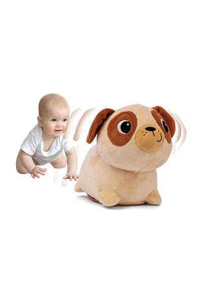 WINFUN Jucarie Interactiva Catelus Pug Pentru Bebelusi,