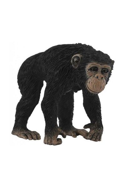 Collecta Women's Chimpanzee Design