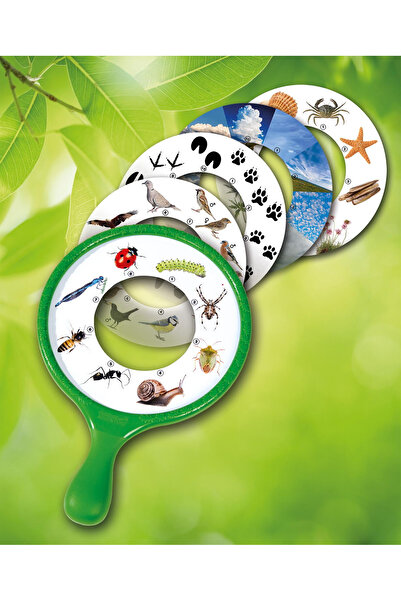 Brainstorm Little Explorer's Magnifying Glass