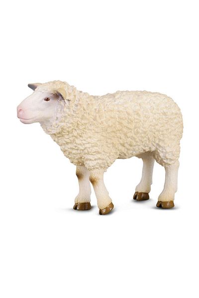 Collecta Sheep