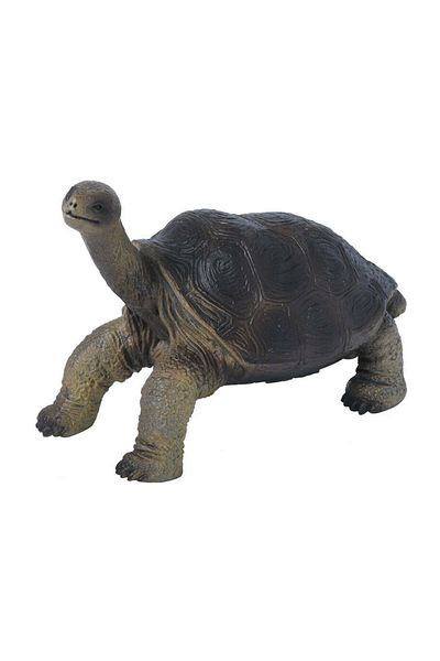 Collecta Pinta Island Turtle